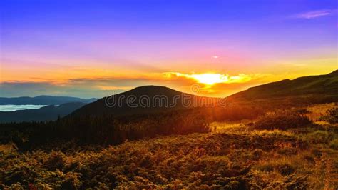 Picturesque Sunrise Morning In Mountains Above Clouds Carpathians