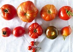 MY KITCHEN IN SPAIN: SEARCHING FOR THE BEST TOMATO