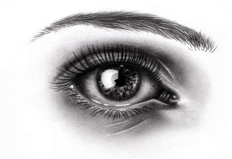 Art Cool Detail Drawing Eye Image 287940 On