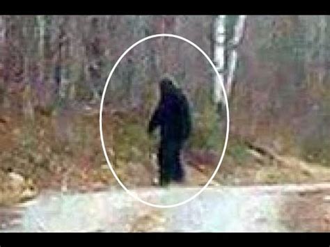 Real Bigfoot Caught On Camera Best Proof Evidence Captured On A