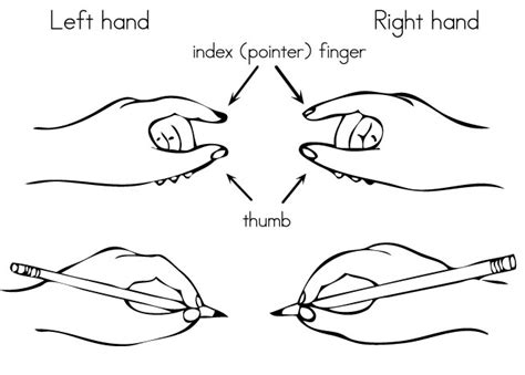 An important part of this is how you grip the pen, which can be done with 3 or 4 fingers. How to Hold a Pencil Correctly