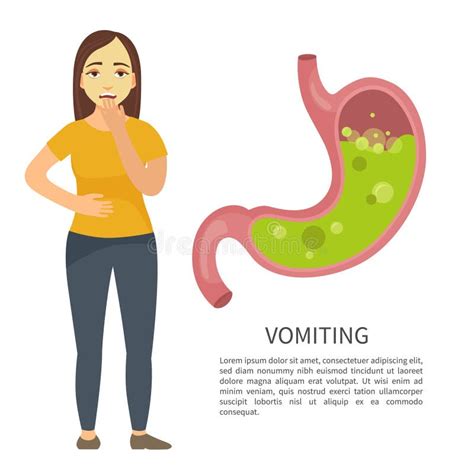 Infographics Of Gastritis Stock Vector Illustration Of Health 3172