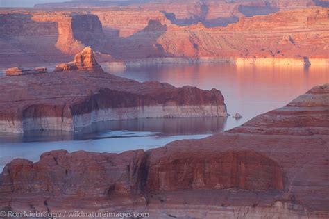 Alstrom Point Lake Powell And The Glen Canyon National Recreation