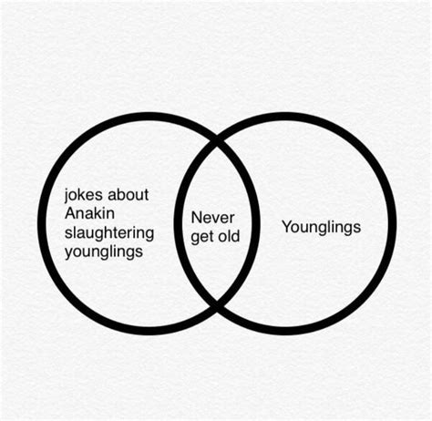 Two Vennuous Circles With The Words Jokes About Anakin And Never Youngings