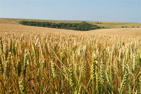 Rural Landscape Everything Is Permuted