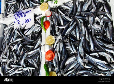 Istanbul Turkey Freshly Caught Anchovies For Sale At The Fish Market