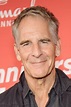 Scott Bakula - Starporträt, News, Bilder | GALA.de