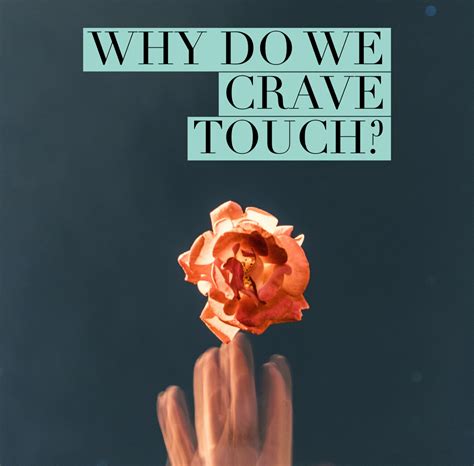 Why Do We Crave Touch Ready Hemp Company®