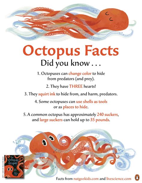 Octopus Facts Octopus Facts Starfish Facts For Kids Cycle For Kids