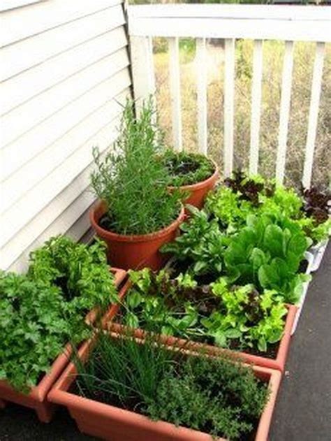 Best Container Vegetables Garden For Beginning 14 Small Vegetable