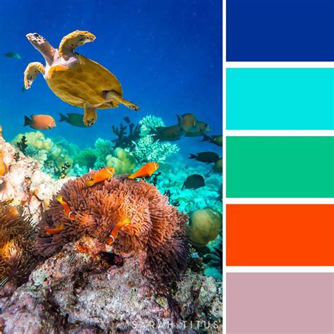 25 Ocean Inspired Color Palettes Ocean Inspiration Color Palette