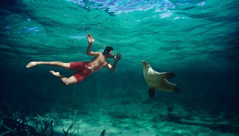 Australias Blue Oceans And Marine Life In 8d Audio Tourism Australia
