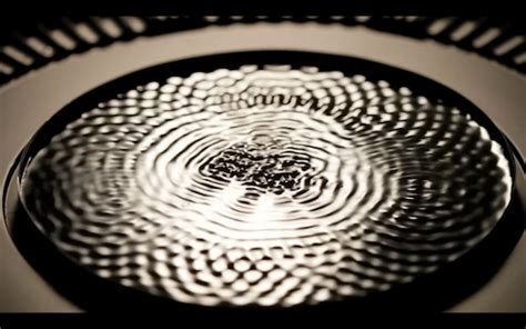 Posted On August 16 2015 Today We Celebrate The Father Of Cymatics