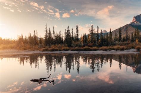 Premium Photo Sunrise On Rocky Mountains And Autumn Forest Reflection