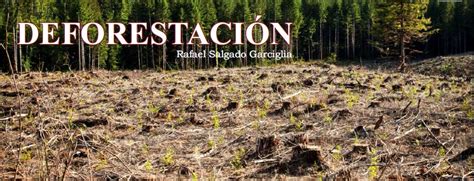 DeforestaciÓn