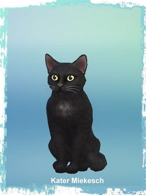 Sims 4 Black Cat Cc