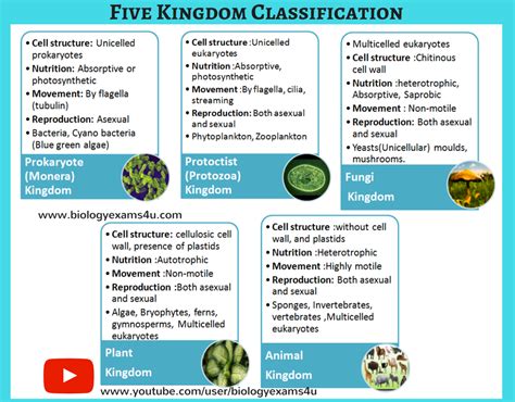 Igcse Biology Notes On Five Kingdom Classification Characteristics Classification