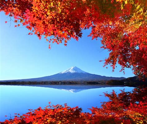 Autumn Colors In Japan 2017 Fall Foliage Forecast Japan Rail Pass