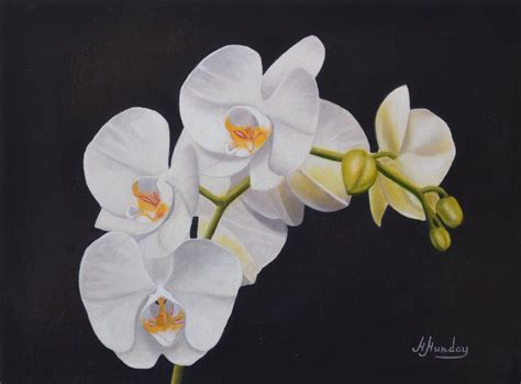 White Orchids Margo Munday Fine Art Classical And Contemporary