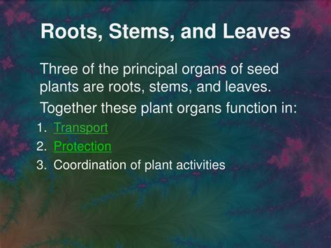 Ppt Roots Stems And Leaves Powerpoint Presentation Free Download