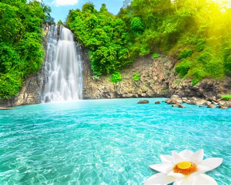 Free Download Beautiful Waterfall Hd Wallpaper Nature Wallpapers 1400x1400 For Your Desktop