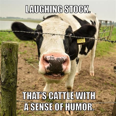 15 Great Farming Memes That Say Exactly Whats On Your Mind Agdaily