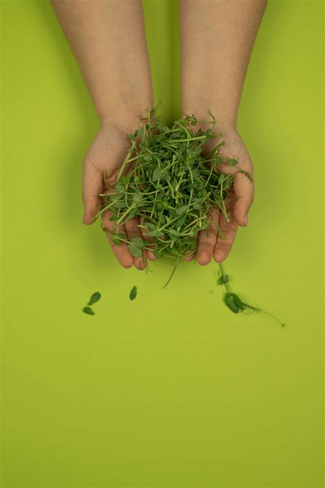 best table tennis tables 2017