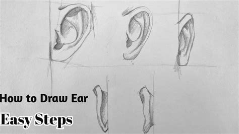 How To Draw Ear Step By Step Easy Way To Draw Ear For Beginners Youtube