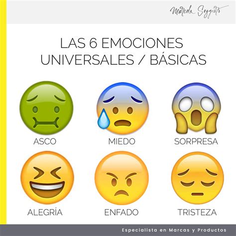 1 Las Emociones