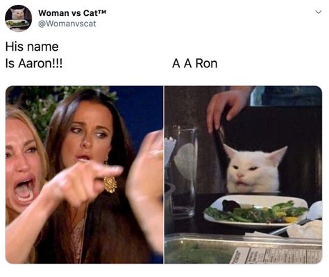 Best Woman Yelling At Cat Memes 28 Of The Funniest