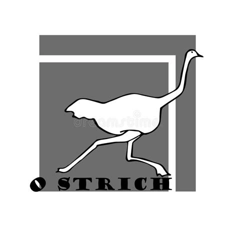 Ostrich Head Sand Line Drawing Stock Illustrations 13 Ostrich Head