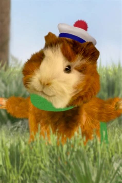 Watch The Wonder Pets S2e13 Save The Chameleon Save The Platypus