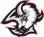 Buffaloes Logo