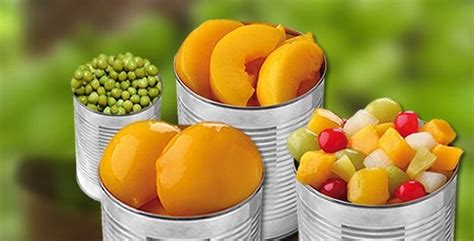 Canned Fruit More Damage Than Good Siowfa16 Science In Our World