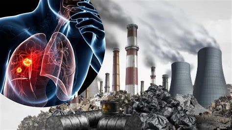 Lung Cancer On The Rise In India Experts Say Air Pollution Is The Root