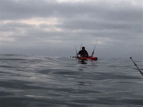 Pin On Kayak Fishing San Diego By Jaime Velasco