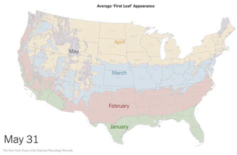 The Usa National Phenology Network Uses A Computer Model To Estimate