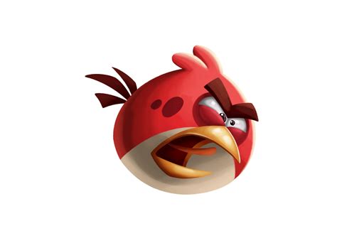 Изображение Злой Редpng Angry Birds Wiki Fandom Powered By Wikia