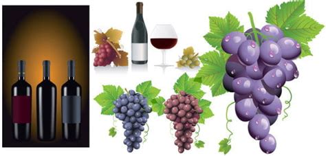 Grape And Wine Vector Graphic Eps Uidownload