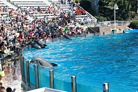 5 Tips When Visiting Seaworld In San Diego California Mom Life In
