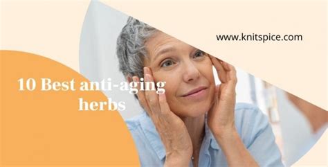 10 Best Anti Aging Herbs Every Woman Should Know Knitspice
