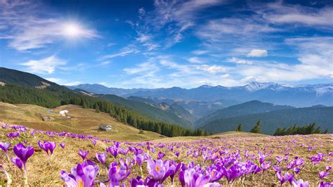 10 Selected Spring Wallpaper Mountains You Can Use It Free Aesthetic