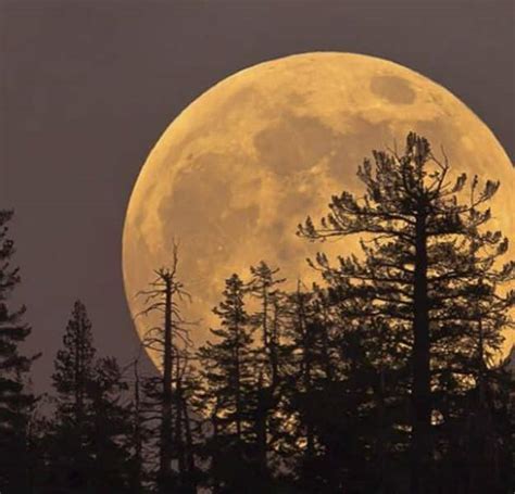 Stunning Pictures Of Supermoon 2016 From Across The Globe