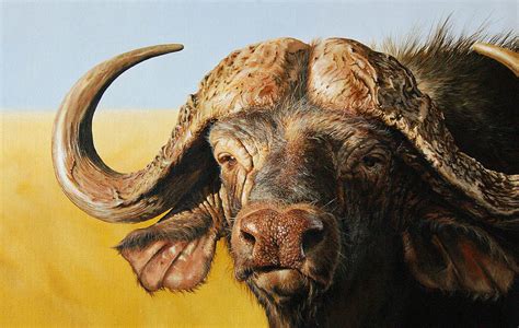 African Buffalo Painting By Mario Pichler Pixels