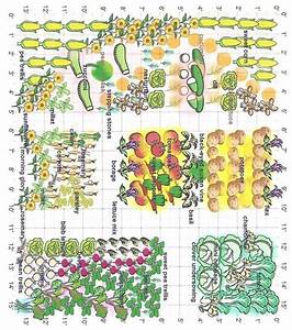 Square Foot Gardening Companion Planting Chart Beautiful Insanity