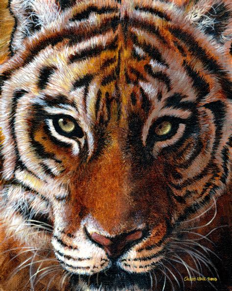 Tiger Paint By Calliefink On Deviantart