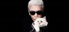 La guerra por Choupette, el gato de Karl Lagerfeld - Revista Caras