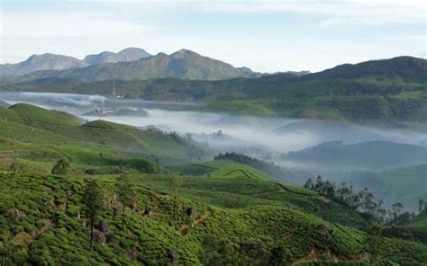 12 Best Things To Do In Munnar Adventure Activities In Munnar