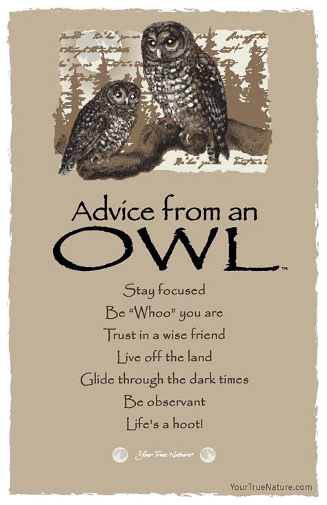 Pin By Windie King On Advice From Nature Quotes Advice Quotes Owl Quotes