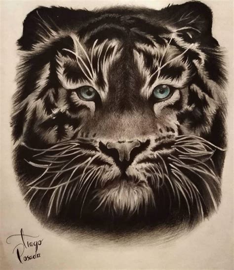 El Tigre Raúl Dibujarte Amino
